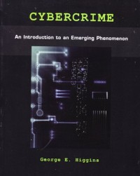 Cybercrime. An Introduction to an emerging phenomenon
