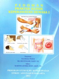 Pedoman praktik klinik keperawatan dewasa I